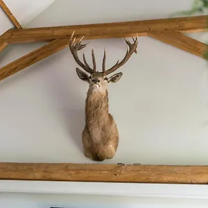 Hoeve De Zuidhoek Vakantiehuis Brugge